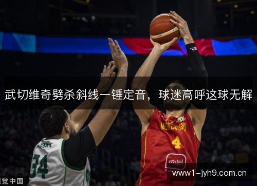 武切维奇劈杀斜线一锤定音，球迷高呼这球无解